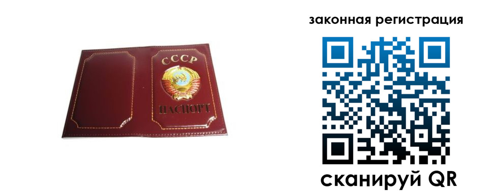 прописка поиск в Ковылкино